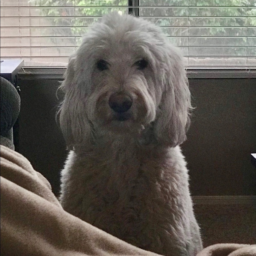 Meet your Posher, Jana